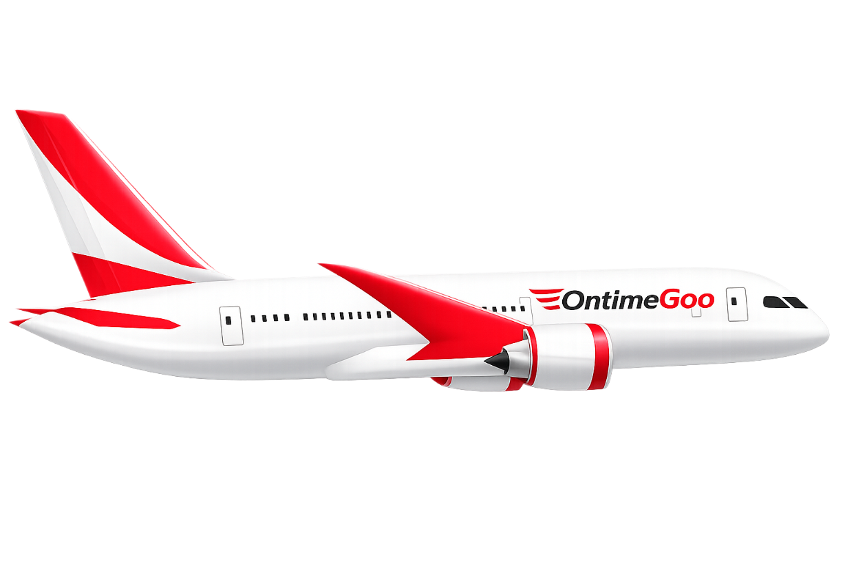OntimeGoo VIP havalimanı transfer hizmeti